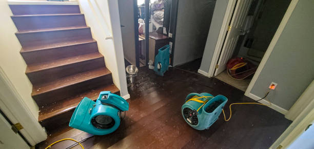 Best Local water damage restoration  in Imperial, PA