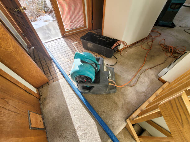 Best Water damage cleanup near me  in Imperial, PA
