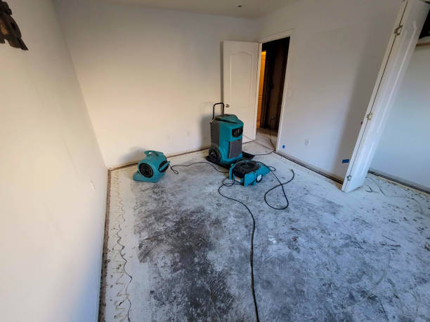 Best Water damage restoration company  in Imperial, PA
