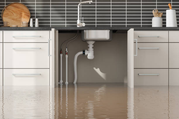 Best Water damage restoration near me  in Imperial, PA