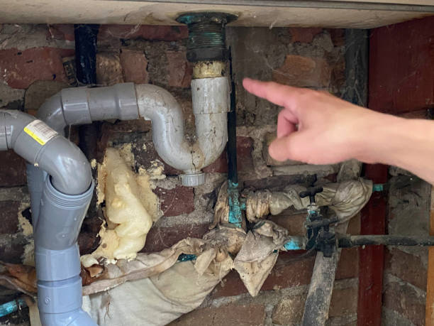 Best Flood damage cleanup  in Imperial, PA