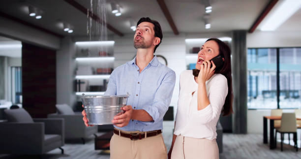 Best 24-hour water damage restoration  in Imperial, PA